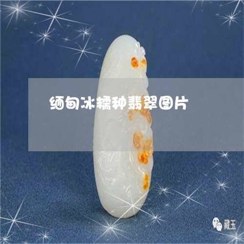 缅甸冰糯种翡翠图片/2023041293836 缅甸冰糯种翡翠图片/2023041293836