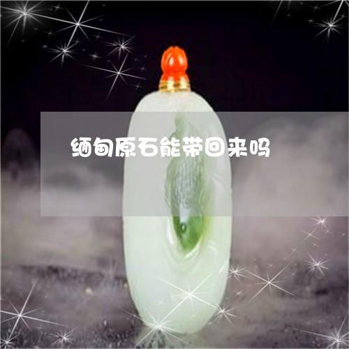 缅甸原石能带回来吗/2023041216268