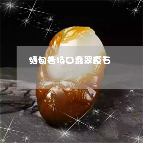缅甸各场口翡翠原石/2023041248362 缅甸各场口翡翠原石/2023041248362