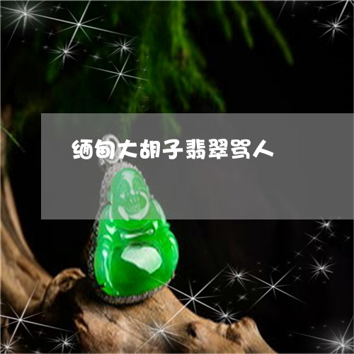 缅甸大胡子翡翠骂人/2023041255240 缅甸大胡子翡翠骂人/2023041255240