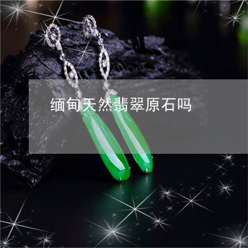 缅甸天然翡翠原石吗/2023041253736 缅甸天然翡翠原石吗/2023041253736