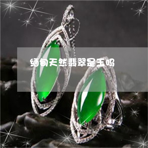 缅甸天然翡翠是玉吗/2023041255936 缅甸天然翡翠是玉吗/2023041255936