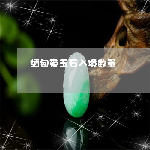 缅甸带玉石入境数量/2023041210704 缅甸带玉石入境数量/2023041210704