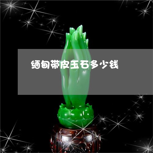 缅甸带皮玉石多少钱/2023041262736 缅甸带皮玉石多少钱/2023041262736