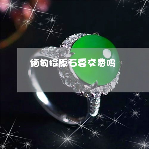 缅甸捡原石要交费吗/2023041274069 缅甸捡原石要交费吗/2023041274069