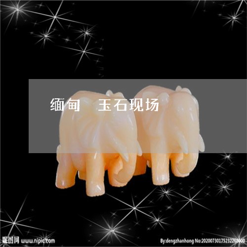 缅甸採玉石现场/2023032895948