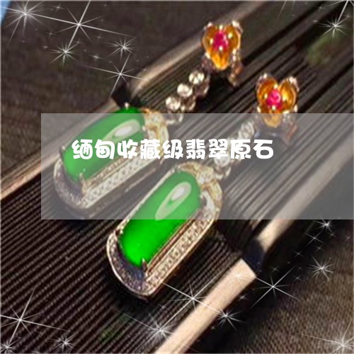 缅甸收藏级翡翠原石/2023041285151 缅甸收藏级翡翠原石/2023041285151