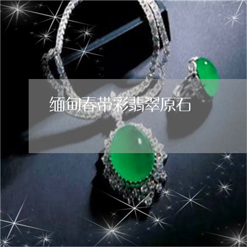 缅甸春带彩翡翠原石/2023041259361