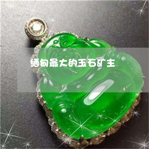 缅甸最大的玉石矿主/2023041298591 缅甸最大的玉石矿主/2023041298591