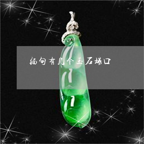缅甸有几个玉石场口/2023041284059 缅甸有几个玉石场口/2023041284059