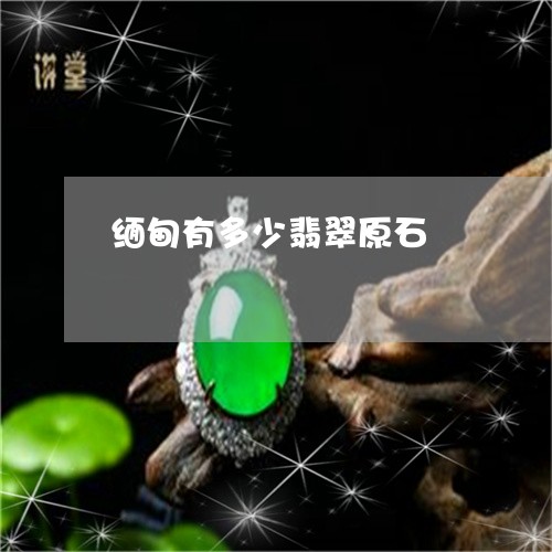 缅甸有多少翡翠原石/2023041200725 缅甸有多少翡翠原石/2023041200725