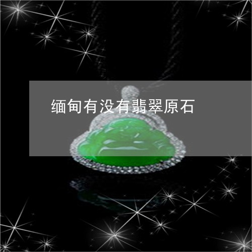 缅甸有没有翡翠原石/2023041298192 缅甸有没有翡翠原石/2023041298192