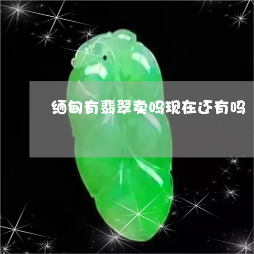 缅甸有翡翠卖吗现在还有吗/2023071197938