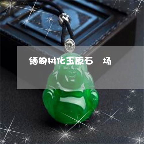 缅甸树化玉原石巿场/2023041204937 缅甸树化玉原石巿场/2023041204937