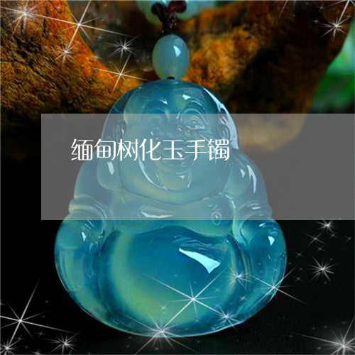 缅甸树化玉手镯/2023032864805