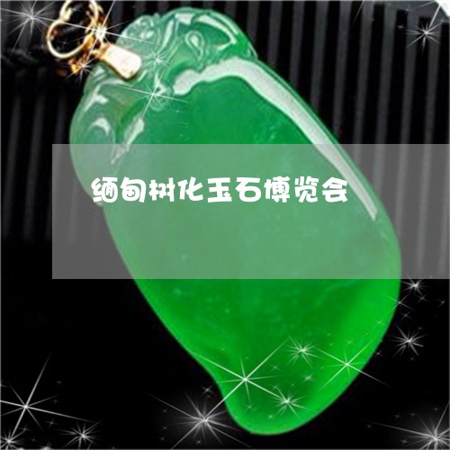 缅甸树化玉石博览会/2023041229406 缅甸树化玉石博览会/2023041229406