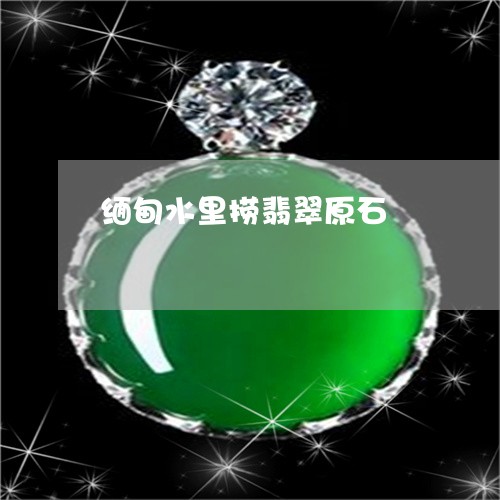缅甸水里捞翡翠原石/2023041232716