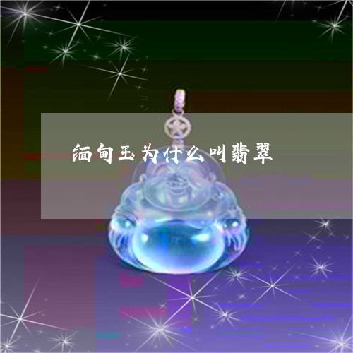 缅甸玉为什么叫翡翠/2023041257481 缅甸玉为什么叫翡翠/2023041257481