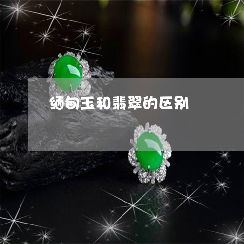 缅甸玉和翡翠的区别/2023041269472 缅甸玉和翡翠的区别/2023041269472