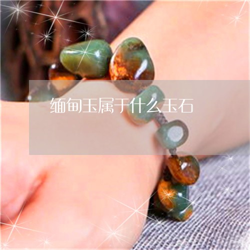 缅甸玉属于什么玉石/2023041242603 缅甸玉属于什么玉石/2023041242603