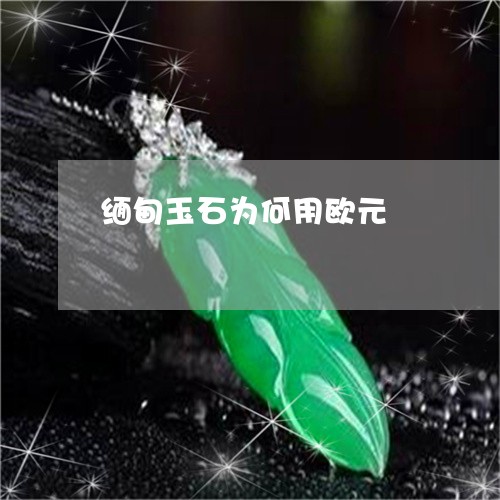 缅甸玉石为何用欧元/2023041238581 缅甸玉石为何用欧元/2023041238581