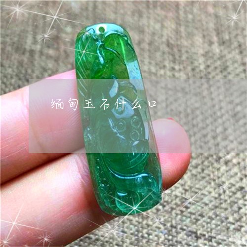 缅甸玉石什么口/2023032827148