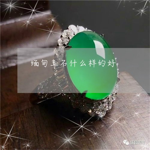 缅甸玉石什么样的好/2023041244807 缅甸玉石什么样的好/2023041244807
