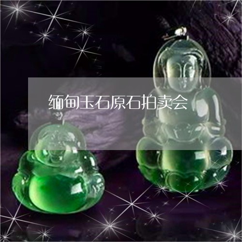 缅甸玉石原石拍卖会/2023041237383 缅甸玉石原石拍卖会/2023041237383