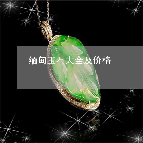 缅甸玉石大全及价格/2023041386048