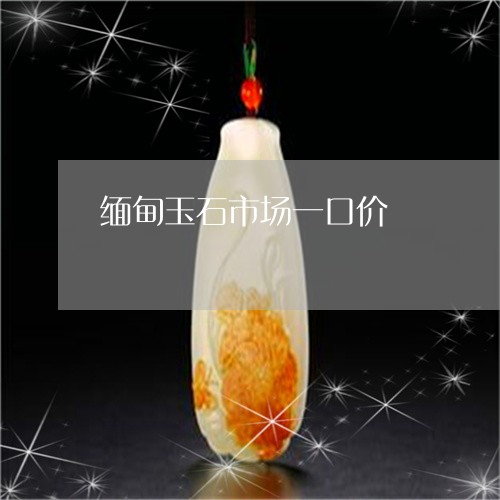 缅甸玉石市场一口价/2023041389381 缅甸玉石市场一口价/2023041389381