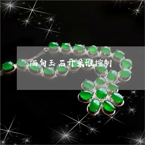 缅甸玉石开采谁控制/2023041300051 缅甸玉石开采谁控制/2023041300051
