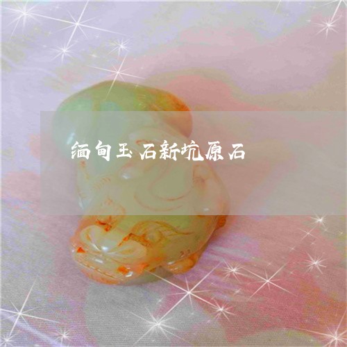 缅甸玉石新坑原石/2023031530726