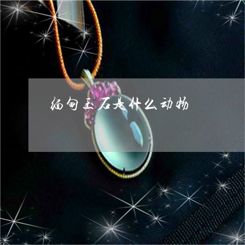 缅甸玉石是什么动物/2023041374270 缅甸玉石是什么动物/2023041374270