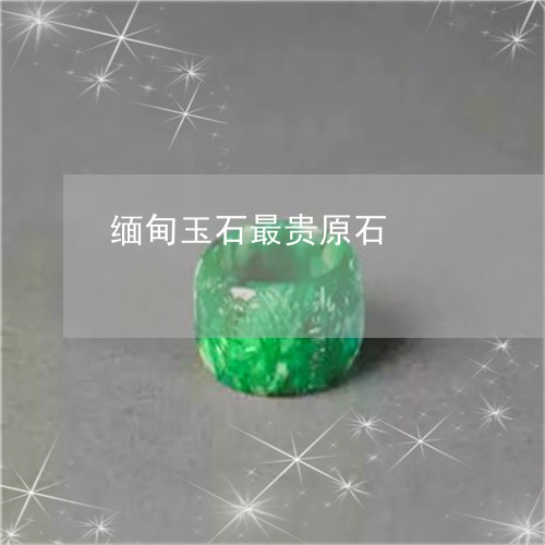 缅甸玉石最贵原石/2023031514137 缅甸玉石最贵原石/2023031514137