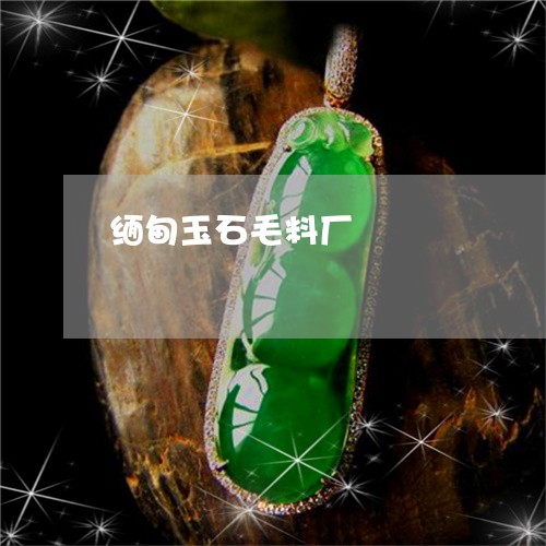 缅甸玉石毛料厂/2023032871601