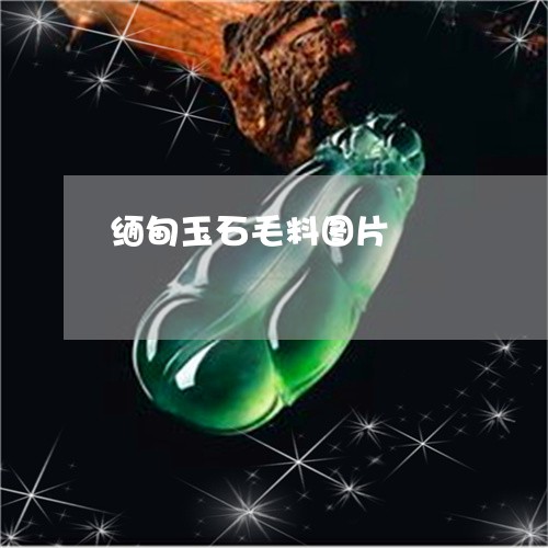 缅甸玉石毛料图片/2023031540628