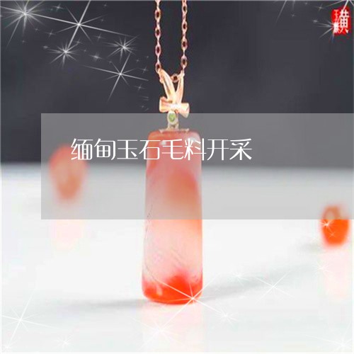 缅甸玉石毛料开采/2023031560573