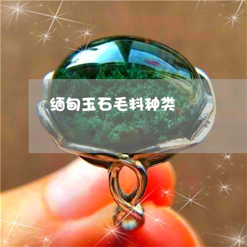 缅甸玉石毛料种类/2023031584040