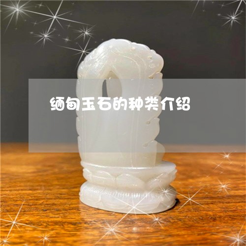 缅甸玉石的种类介绍/2023041337940