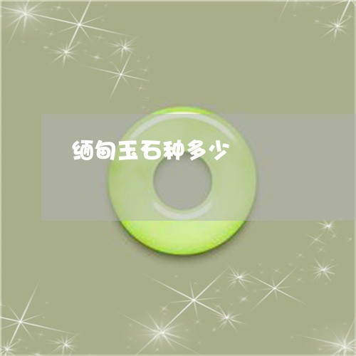 缅甸玉石种多少/2023032851382