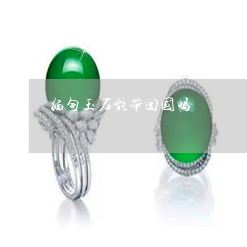 缅甸玉石能带回国吗/2023041357393