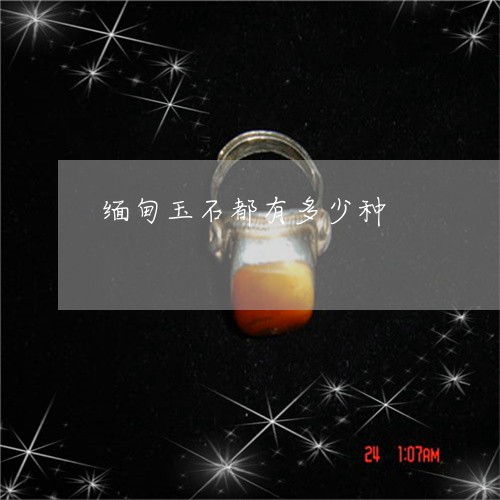 缅甸玉石都有多少种/2023041388161 缅甸玉石都有多少种/2023041388161