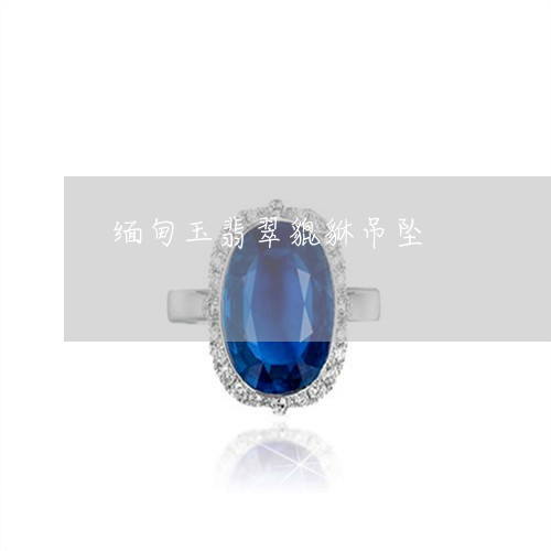 缅甸玉翡翠貔貅吊坠/2023041320703