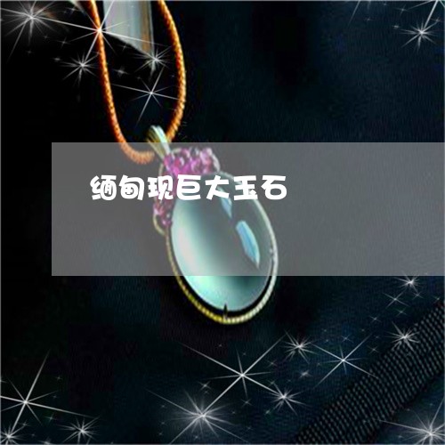 缅甸现巨大玉石/2023032871737 缅甸现巨大玉石/2023032871737