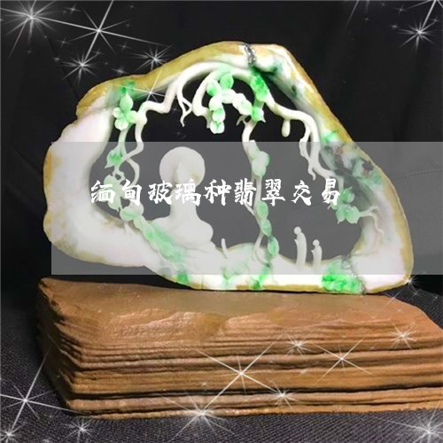 缅甸玻璃种翡翠交易/2023041376060 缅甸玻璃种翡翠交易/2023041376060