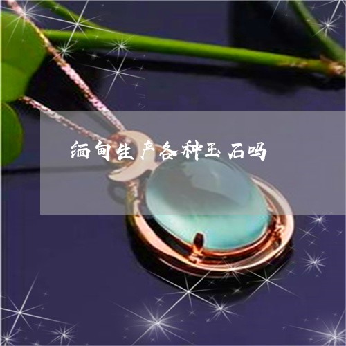 缅甸生产各种玉石吗/2023041384927 缅甸生产各种玉石吗/2023041384927