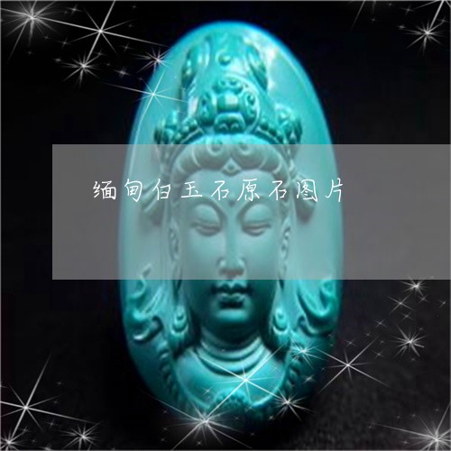 缅甸白玉石原石图片/2023041349693 缅甸白玉石原石图片/2023041349693