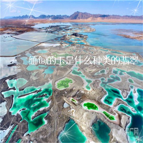 缅甸的玉是什么种类的翡翠/2023062894036