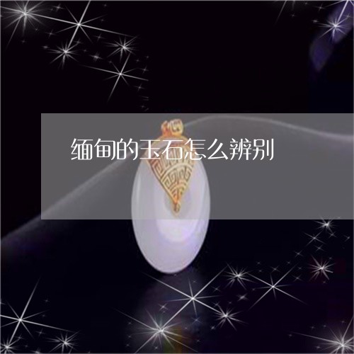 缅甸的玉石怎么辨别/2023041304825 缅甸的玉石怎么辨别/2023041304825