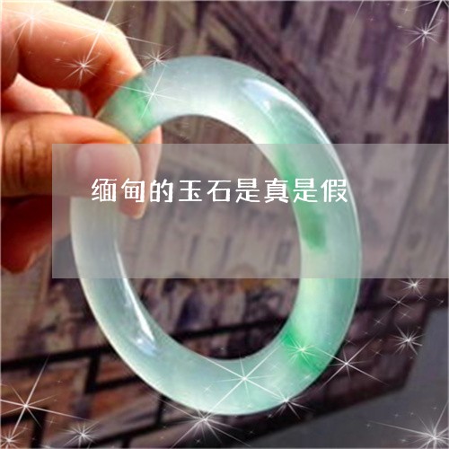 缅甸的玉石是真是假/2023041320592 缅甸的玉石是真是假/2023041320592